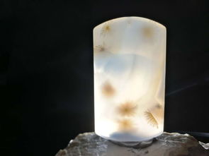 有一种海洋玉髓叫过目不忘 精品海玉288专场 772 期