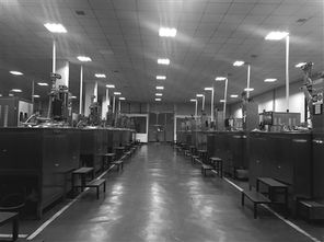 青海铸玛 借力而上，开创蓝宝石晶体产业蓝海